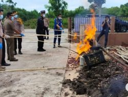 45,5 ton bawang merah dan mangga ilegal dimusnahkan Karantina Riau